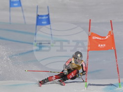 Sweden Alpine Skiing World Cup