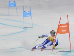 Sweden Alpine Skiing World Cup