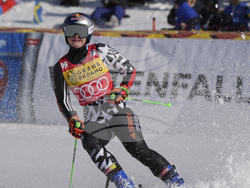 Sweden Alpine Skiing World Cup