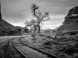 Антони Георгиев открива фотографска изложба. "Passim/Навсякъде" 