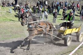 Село Бисер - Тодоровден - кушия