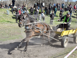 Село Бисер - Тодоровден - кушия