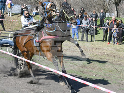 Село Бисер - Тодоровден - кушия