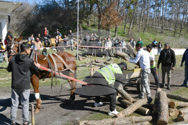 Село Бисер - Тодоровден - кушия