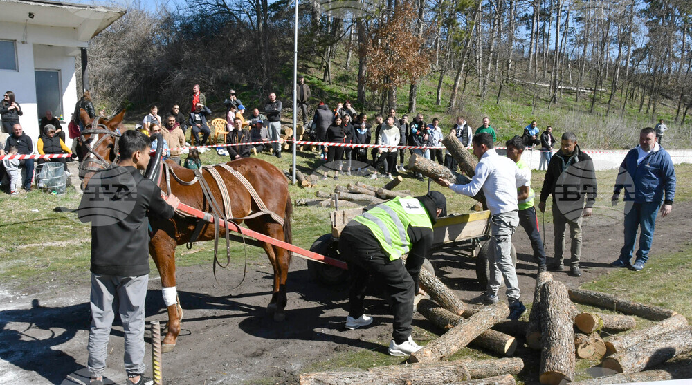 Село Бисер - Тодоровден - кушия