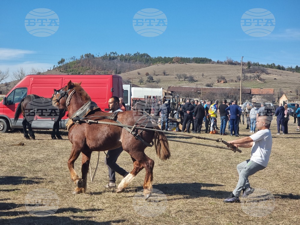 Традиционни конни състезания за Тодоровден се проведоха в брезнишкото село Бегуновци
