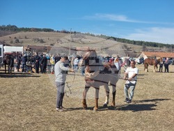 Село Бегуновци - Тодоровден - кушии