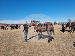 Село Бегуновци - Тодоровден - кушии