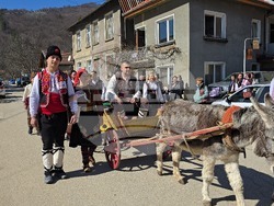 Село Чифлик - обичай „Ялова сватба“