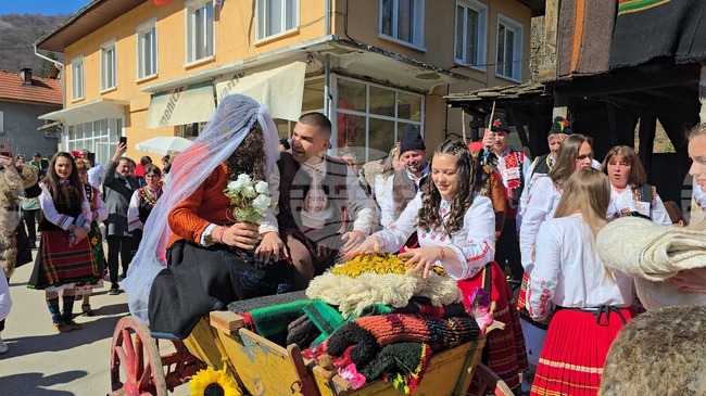 Село Чифлик - обичай „Ялова сватба“