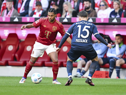 Germany Soccer Bundesliga