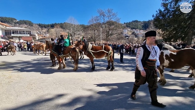 Стотици се събраха да отбележат Тодоровден в смолянското село Момчиловци под мотото „Хубав кон и хубава жена не са за сиромах човек!“