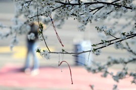 Сърбия - мартеници - топло време