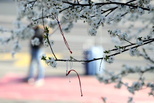 Сърбия - мартеници - топло време