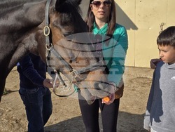 Плевен - Тодоровден