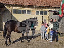 Плевен - Тодоровден