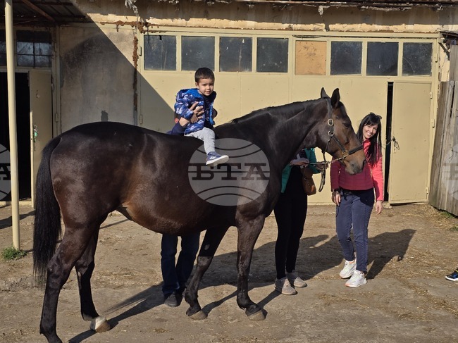 Плевен - Тодоровден