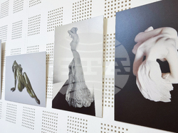 Варна - Мери Керпичиян - изложба