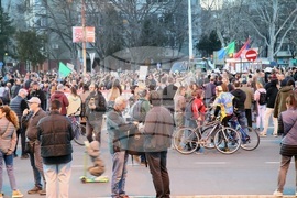Сърбия - Белград - протести - фермери