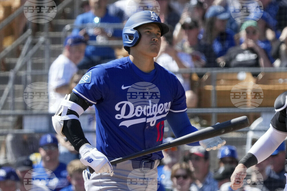 Dodgers White Sox Spring Baseball
