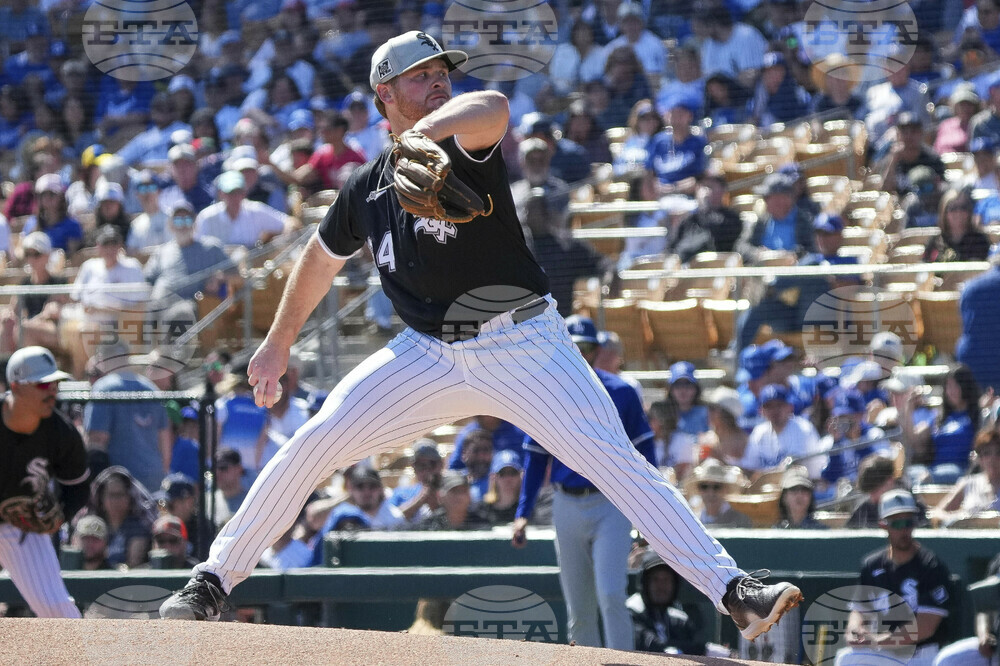 Dodgers White Sox Spring Baseball