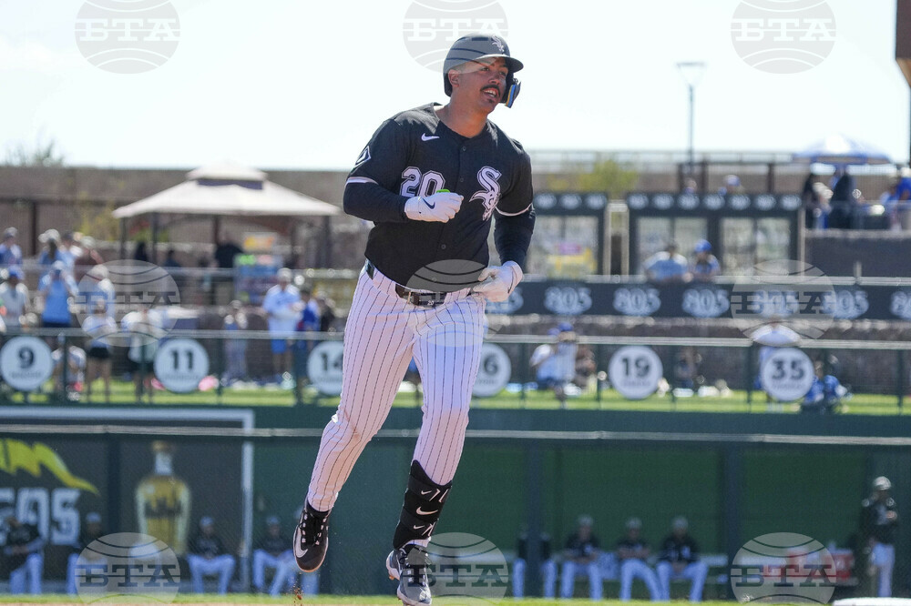 Dodgers White Sox Spring Baseball