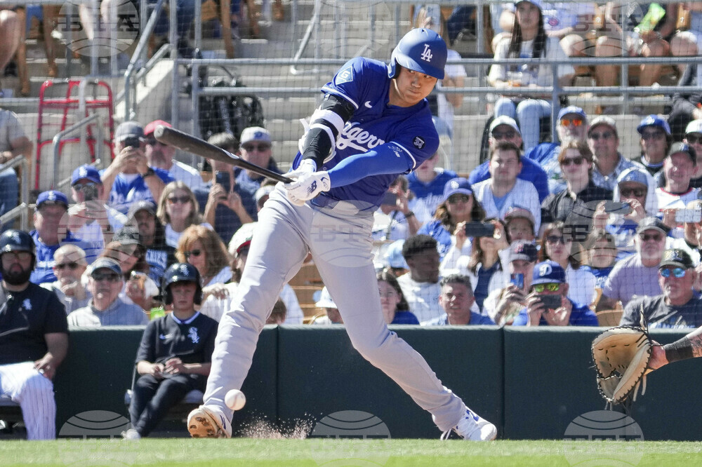 Dodgers White Sox Spring Baseball