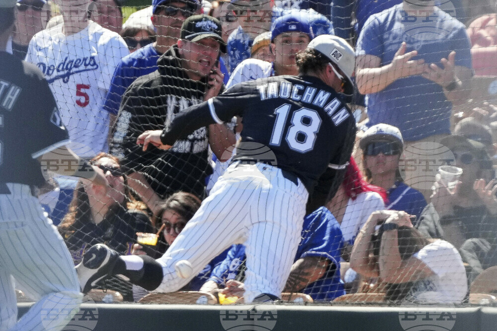 Dodgers White Sox Spring Baseball