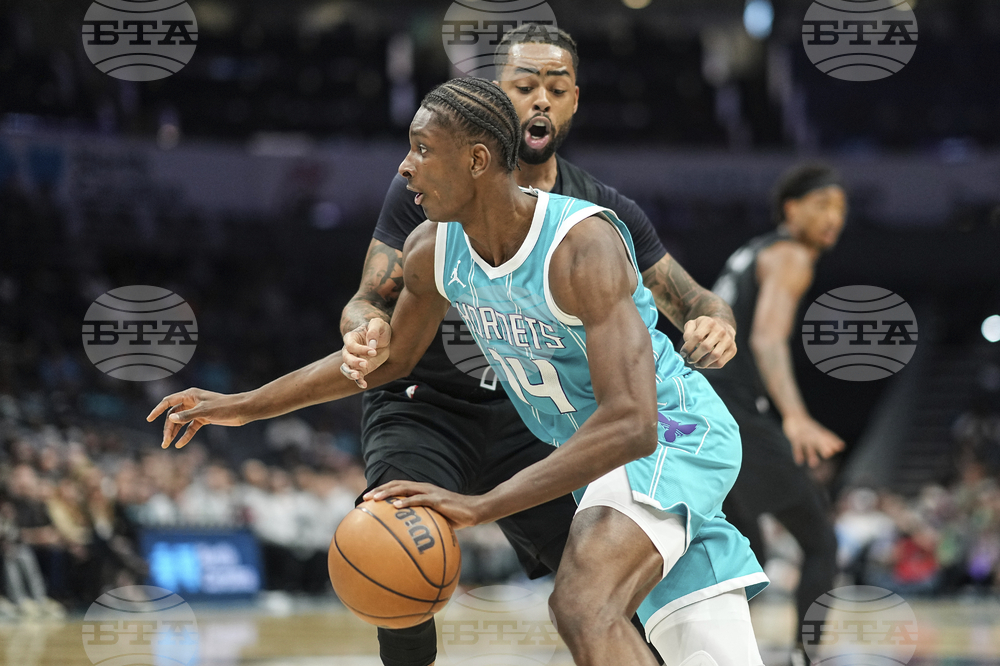 Nets Hornets Basketball