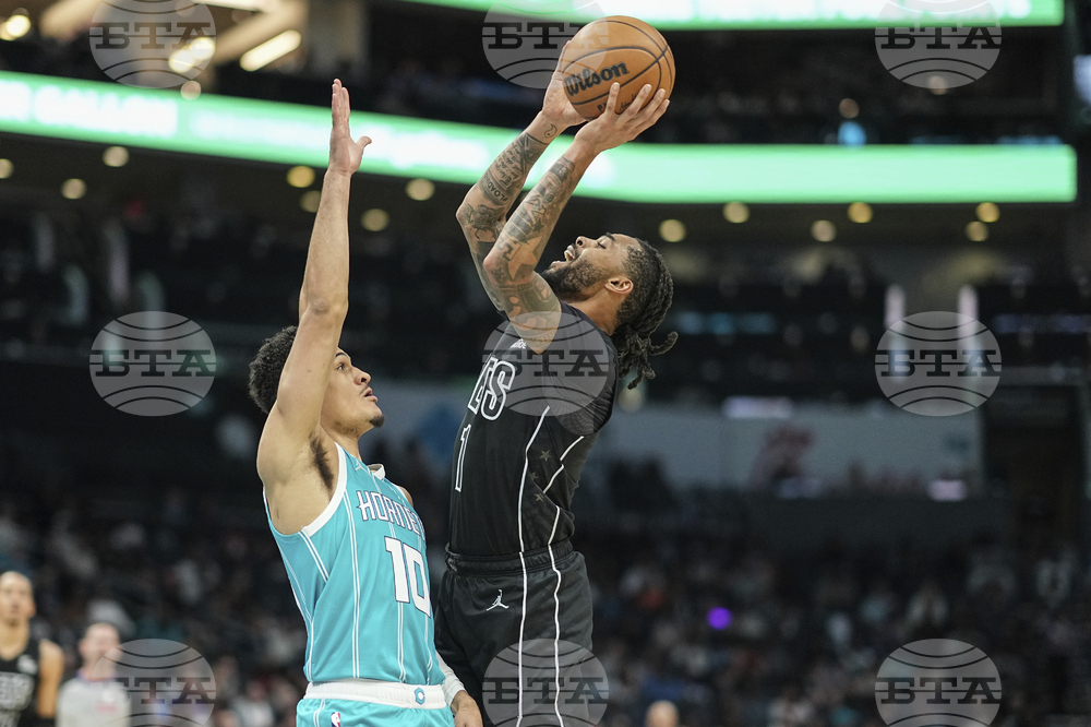 Nets Hornets Basketball
