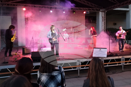 Видин - „Спорт и музика на една сцена“ - концерт