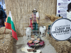 Международно изложение „Ваканция&СПА“ - откриване