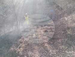 пожар - Рудозем