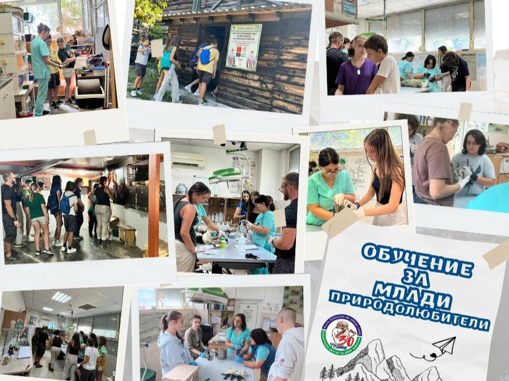 Спасителен център „Зелени Балкани“ организира обучение за ученици през пролетната им ваканция