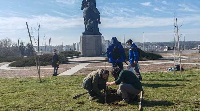 Представители на сдружение „ДоброЖънци“ и доброволци засадиха 30 нови дръвчета зад паметника на деспот Добротица в Добрич