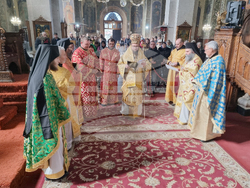 Видин - Православна неделя - Видински митрополит Пахомий - икони