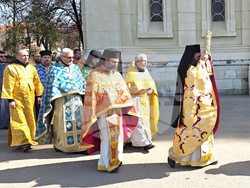 Видин - Православна неделя - Видински митрополит Пахомий - икони