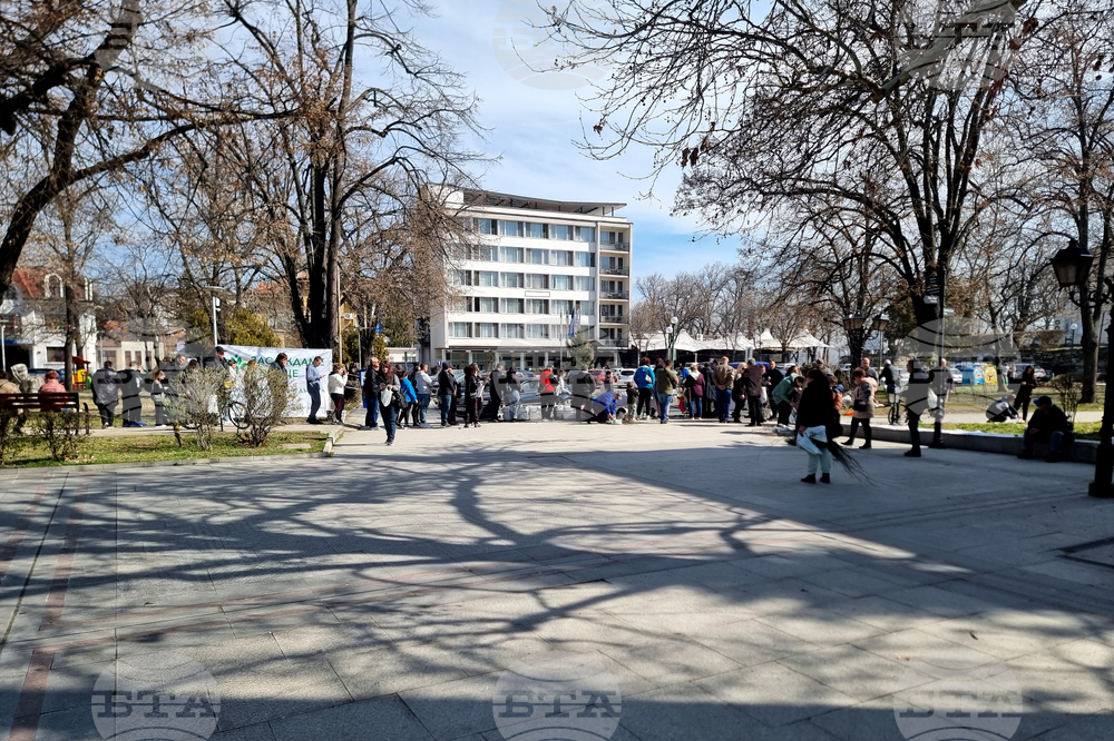 Видин - „Гората.бг“ - инициатива