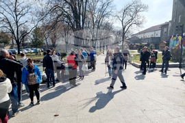 Видин - „Гората.бг“ - инициатива