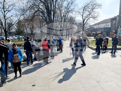 Видин - „Гората.бг“ - инициатива