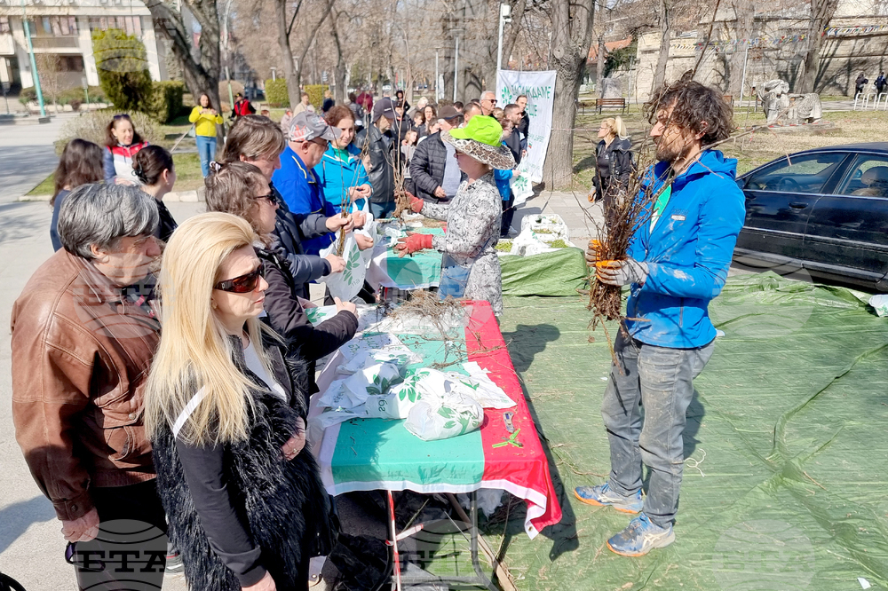 Видин - „Гората.бг“ - инициатива