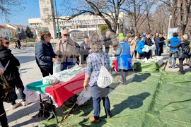 Видин - „Гората.бг“ - инициатива