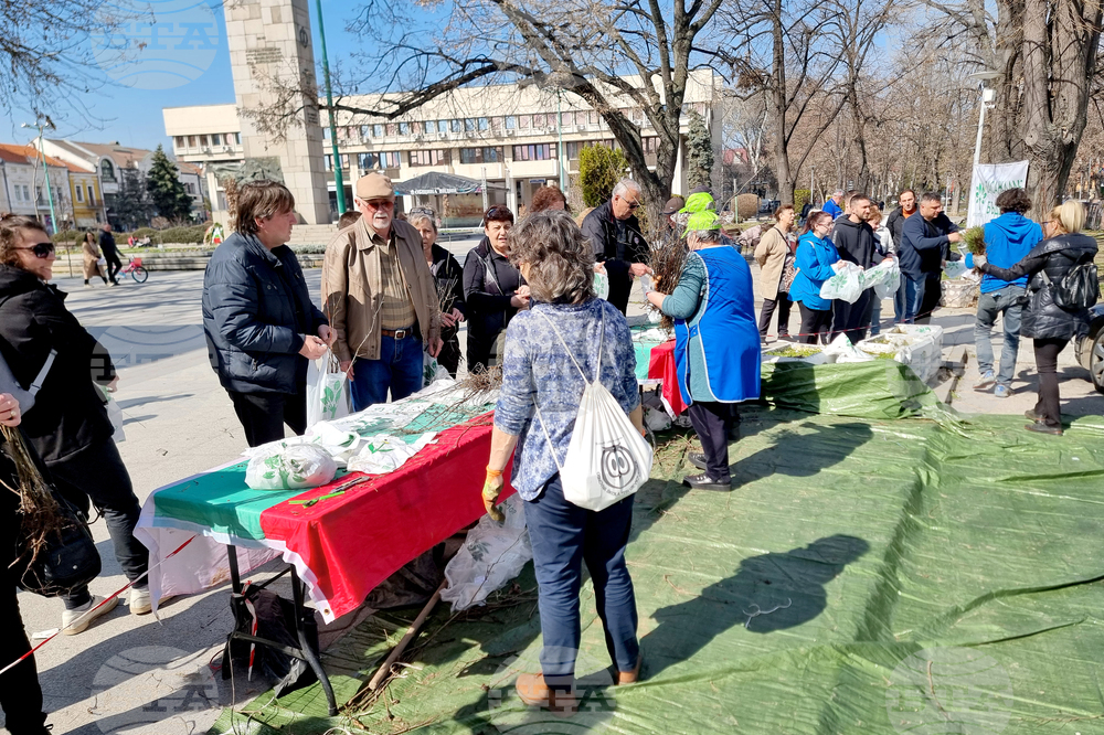 Видин - „Гората.бг“ - инициатива