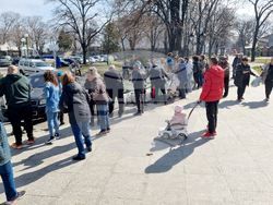 Видин - „Гората.бг“ - инициатива