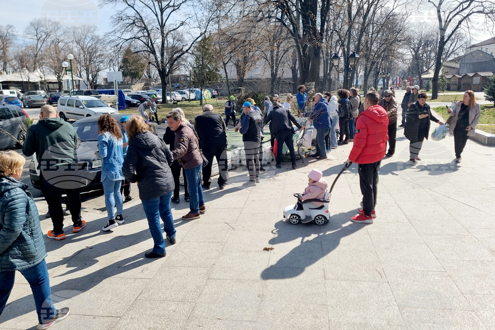 Видин - „Гората.бг“ - инициатива