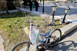 Видин - „Гората.бг“ - инициатива