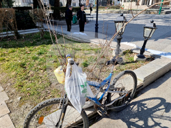 Видин - „Гората.бг“ - инициатива