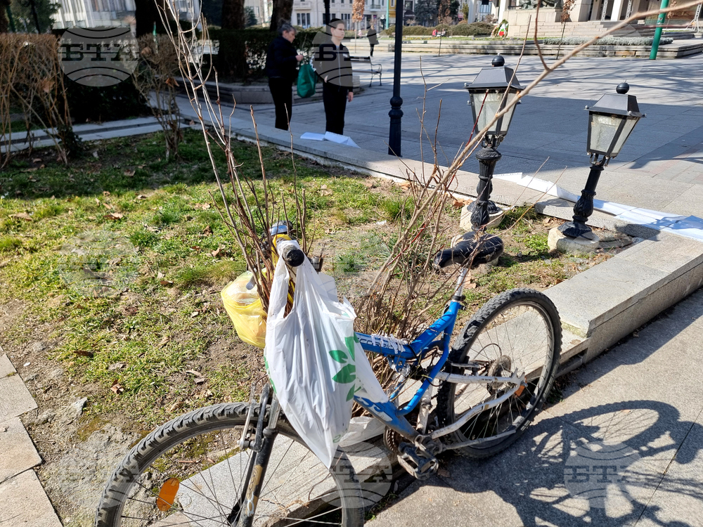 Видин - „Гората.бг“ - инициатива