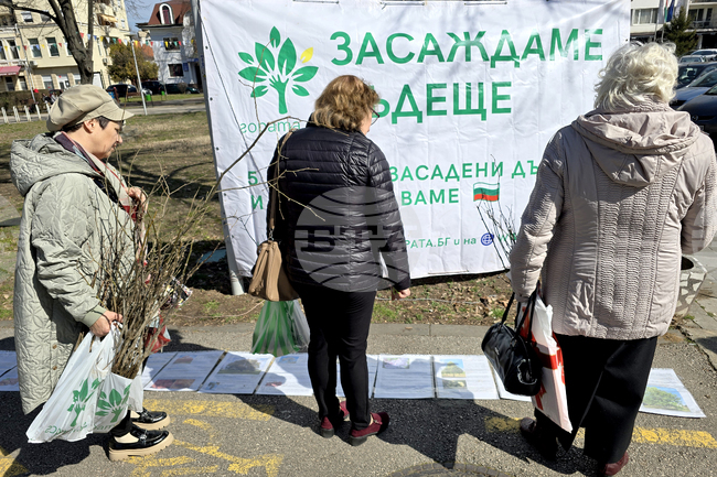 Доброволци към инициативата "Гората.бг" раздадоха на всички желаещи общо 12 хиляди плодни, медоносни и паркови дръвчета във Видин