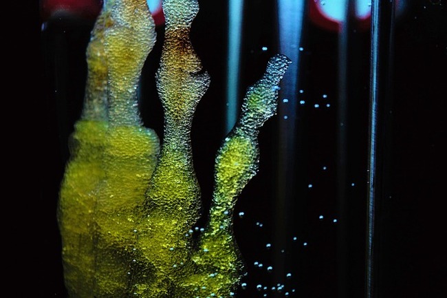 Учени създадоха гел, способен да се самолекува като човешка кожа